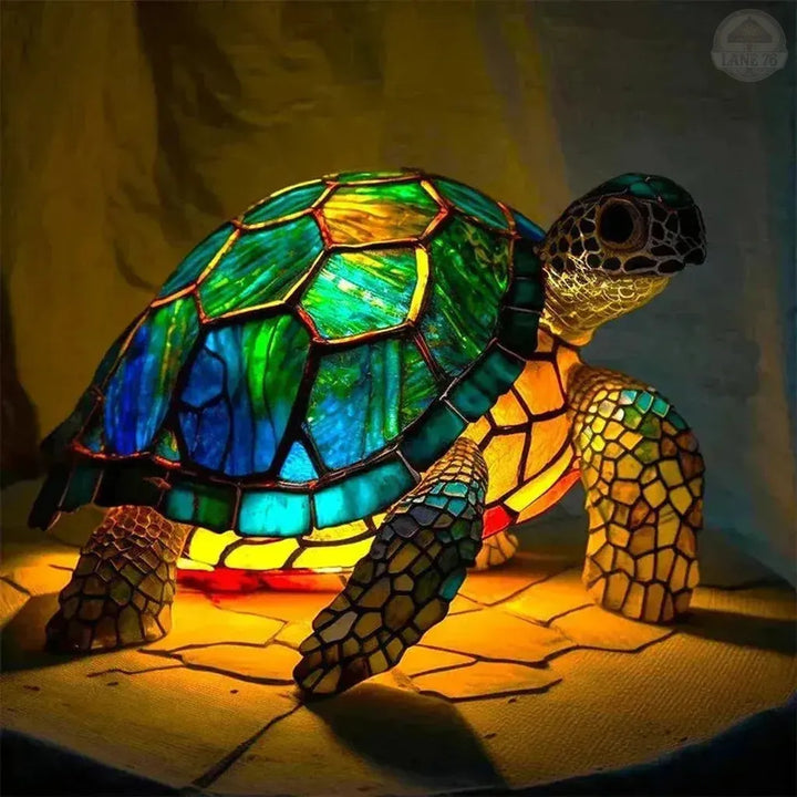 The Essence of the Molokai Turtle